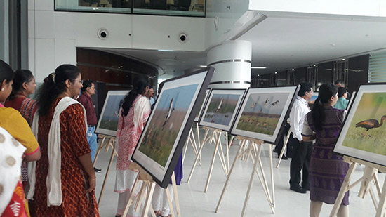 ONGC celebrates World Wetlands Day with a week-long Photo Exhibition on Chilika Lake