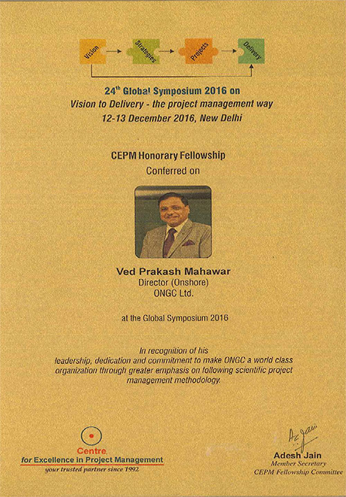 CEPM Fellowship Award 2016