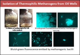 ONGC Development of Specialized Microbial Culture Bank for Energy Recovery from Lignite and Matured Oil Reservoirs