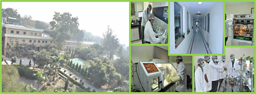 Oilzapper production Plant