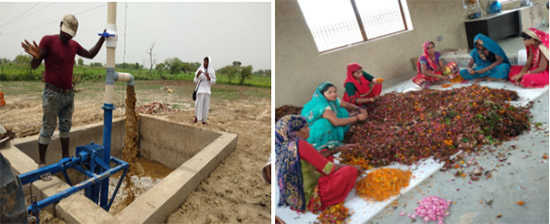 Flower waste management by women of Mathura