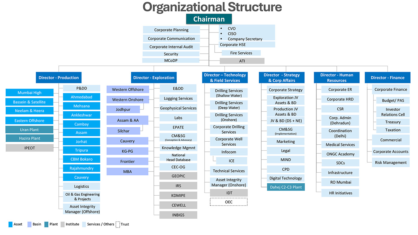 Overall Structure in our organization