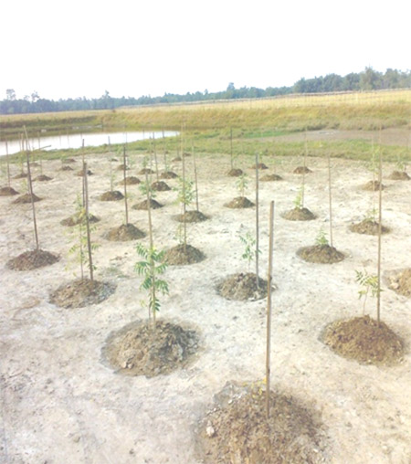 Drill site after restoration 