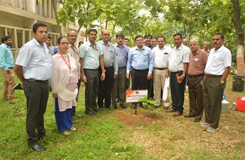 Tree plantation Activity by ONGCians