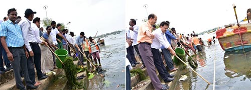 Rajahmundry - Removal of aquatic  weed  and garbage