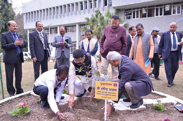 Planting a sapling in the Institute of Drilling Technology campus